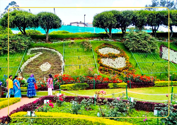 Rose Garden ooty, Tourist Places in Ooty, Ooty Tourism, Tamilnadu Tourism