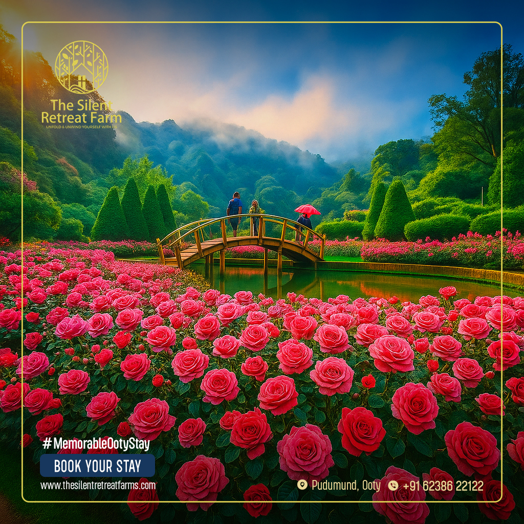 Pine Forest Ooty, Tourist Places in Ooty, Ooty Tourism, Tamilnadu Tourism