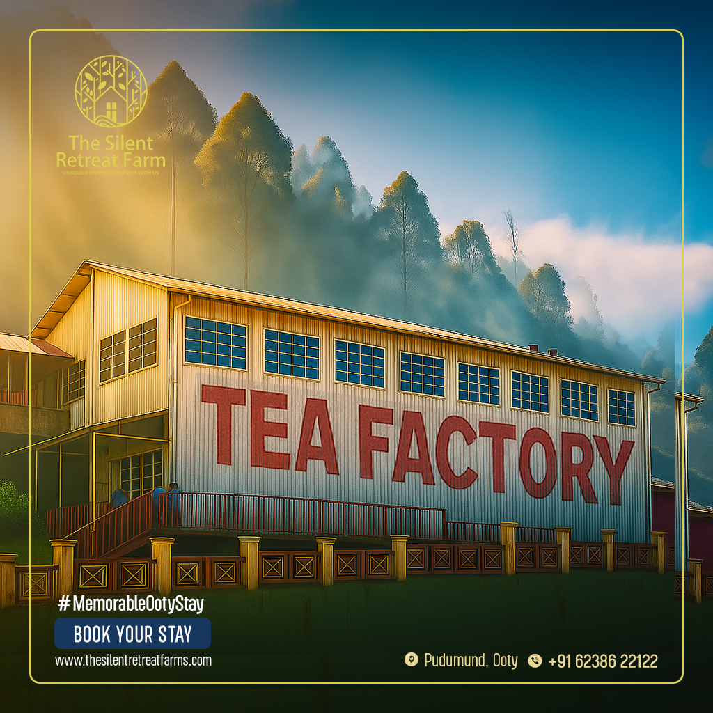 Pykara Waterfalls, Tourist Places in Ooty, Ooty Tourism, Tamilnadu Tourism